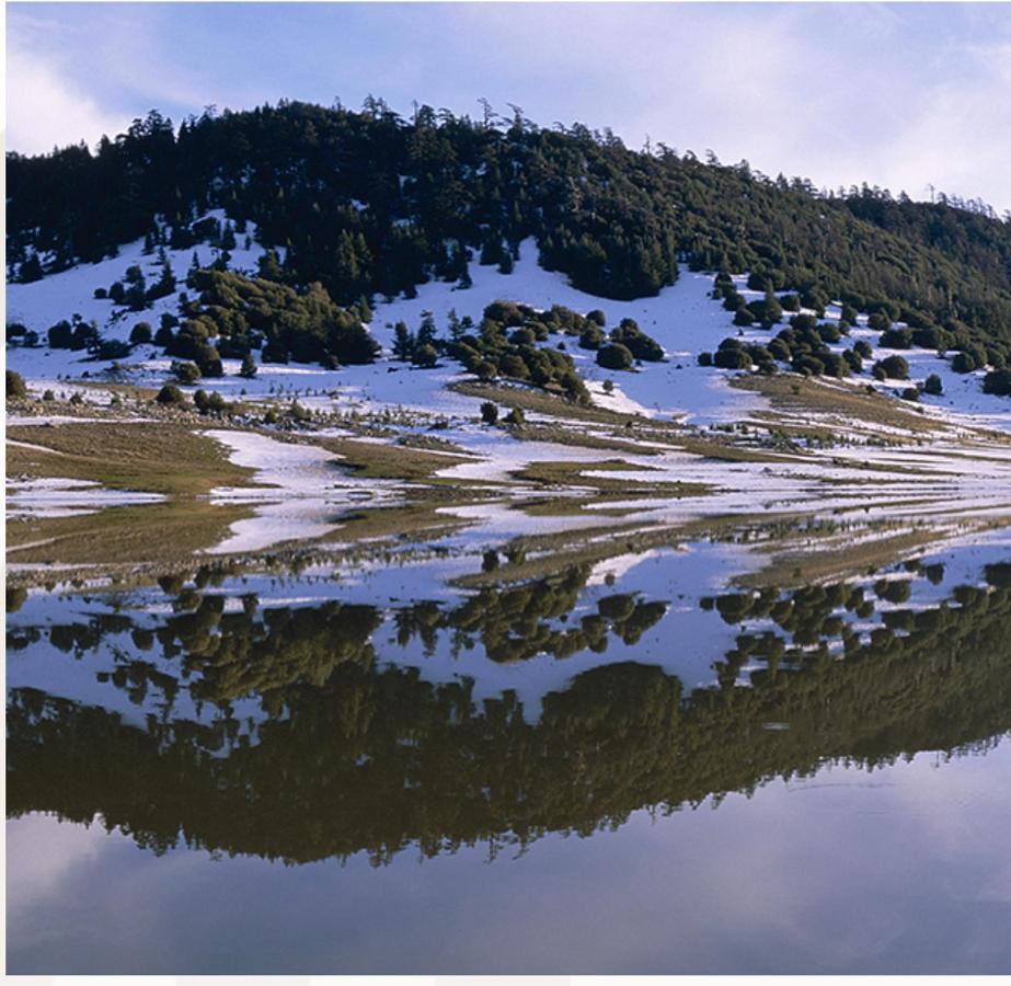 Ifrane Chalet Kültér fotó